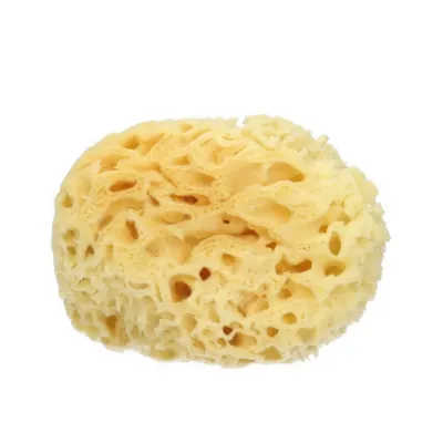 Extra-Soft Natural SEA Sponge Мягкая натуральная морская губка